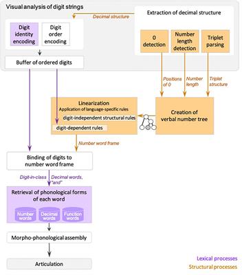 Dysnumeria in Sign Language: Impaired Construction of the Decimal Structure in Reading Multidigit Numbers in a Deaf ISL Signer